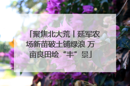 聚焦北大荒丨延军农场新苗破土铺绿浪 万亩良田绘“丰”景