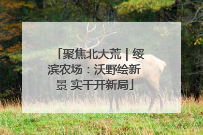 聚焦北大荒｜绥滨农场：沃野绘新景 实干开新局