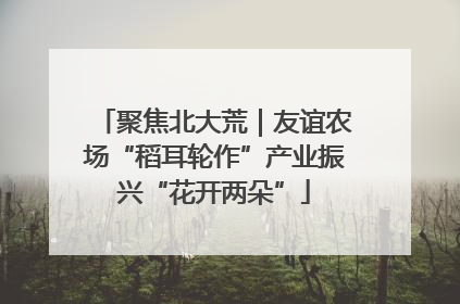 聚焦北大荒｜友谊农场“稻耳轮作”产业振兴“花开两朵”