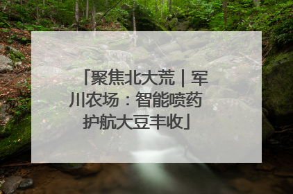 聚焦北大荒｜军川农场：智能喷药护航大豆丰收