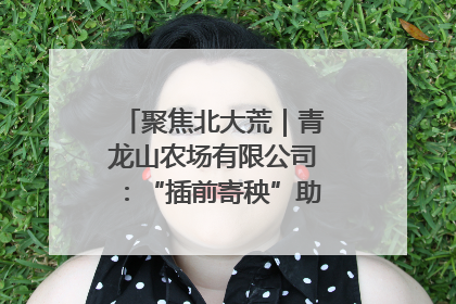 聚焦北大荒｜青龙山农场有限公司：“插前寄秧”助力农业节本增效