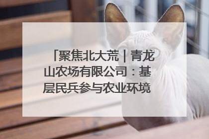 聚焦北大荒｜青龙山农场有限公司：基层民兵参与农业环境综合治理显效