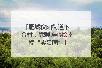 肥城仪阳街道下三合村：党群连心绘幸福“实景图”