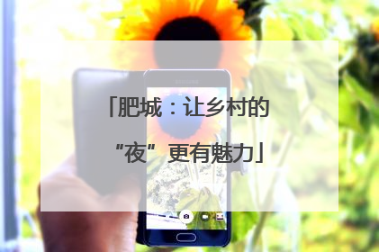肥城：让乡村的“夜”更有魅力