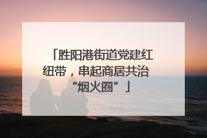胜阳港街道党建红纽带，串起商居共治 “烟火圈”
