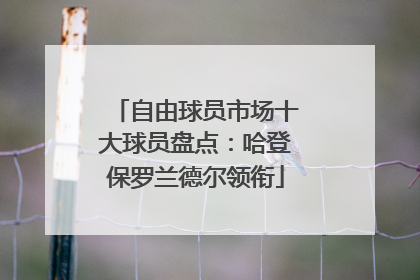 自由球员市场十大球员盘点：哈登保罗兰德尔领衔