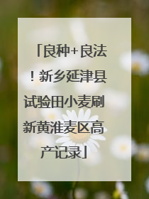 良种+良法！新乡延津县试验田小麦刷新黄淮麦区高产记录
