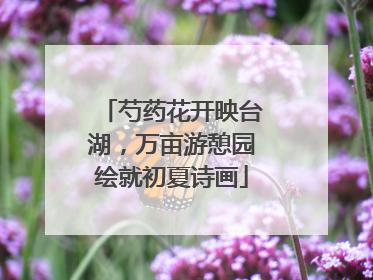 芍药花开映台湖，万亩游憩园绘就初夏诗画