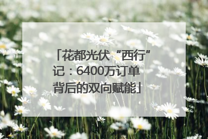 花都光伏“西行”记：6400万订单背后的双向赋能