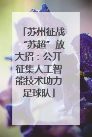 苏州征战“苏超”放大招：公开征集人工智能技术助力足球队