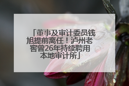 董事及审计委员钱旭提前离任！泸州老窖曾26年持续聘用本地审计所