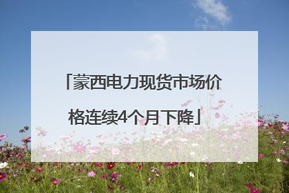 蒙西电力现货市场价格连续4个月下降