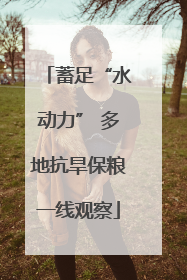 蓄足“水动力” 多地抗旱保粮一线观察