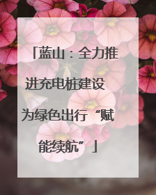 蓝山：全力推进充电桩建设 为绿色出行“赋能续航”