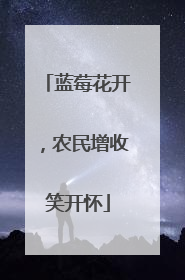 蓝莓花开，农民增收笑开怀