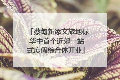 蔡甸新添文旅地标 华中首个近郊一站式度假综合体开业