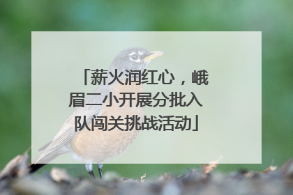薪火润红心，峨眉二小开展分批入队闯关挑战活动