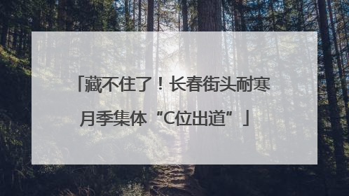 藏不住了！长春街头耐寒月季集体“C位出道”