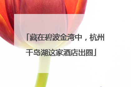 藏在碧波金湾中，杭州千岛湖这家酒店出圈
