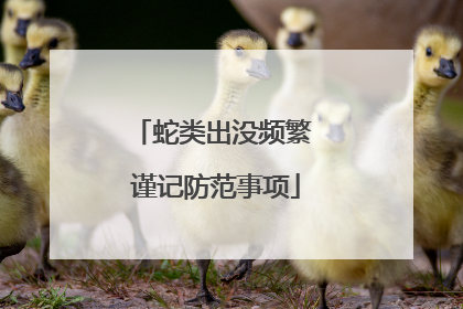 蛇类出没频繁 谨记防范事项