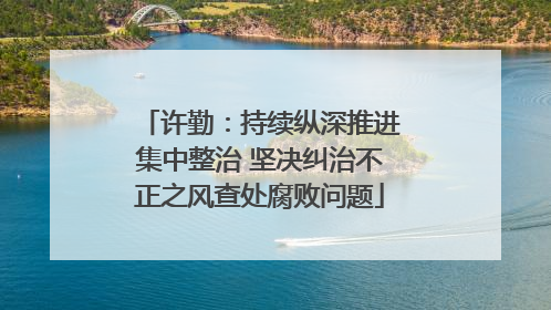 许勤：持续纵深推进集中整治 坚决纠治不正之风查处腐败问题