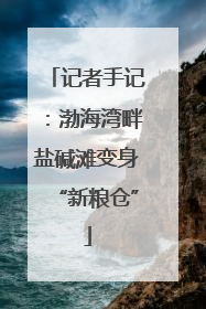 记者手记：渤海湾畔盐碱滩变身“新粮仓”