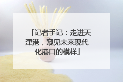 记者手记：走进天津港，窥见未来现代化港口的模样