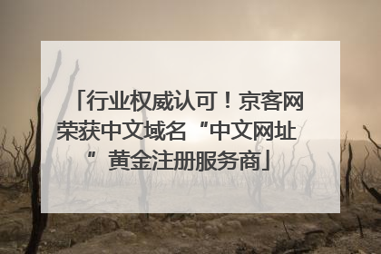 行业权威认可！京客网荣获中文域名“中文网址”黄金注册服务商