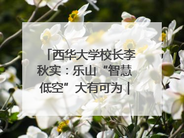 西华大学校长李秋实：乐山“智慧低空”大有可为｜西望四川