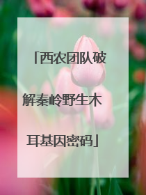 西农团队破解秦岭野生木耳基因密码