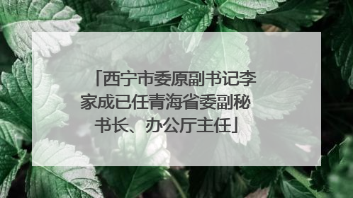 西宁市委原副书记李家成已任青海省委副秘书长、办公厅主任