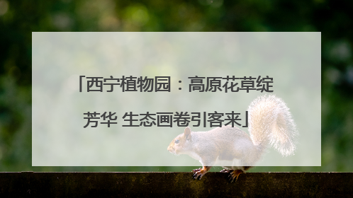 西宁植物园：高原花草绽芳华 生态画卷引客来