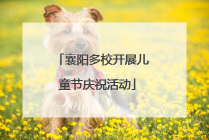 襄阳多校开展儿童节庆祝活动