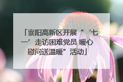襄阳高新区开展“‘七一’走访困难党员 暖心慰问送温暖”活动