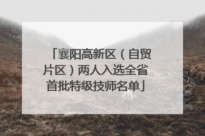 襄阳高新区（自贸片区）两人入选全省首批特级技师名单
