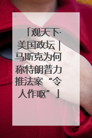 观天下·美国政坛｜马斯克为何称特朗普力推法案“令人作呕”