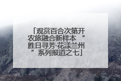 观赏百合次第开 农旅融合新样本 “胜日寻芳·花漾兰州”系列报道之七