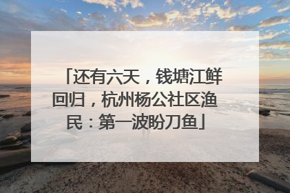 还有六天，钱塘江鲜回归，杭州杨公社区渔民：第一波盼刀鱼