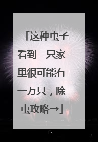这种虫子看到一只家里很可能有一万只，除虫攻略→