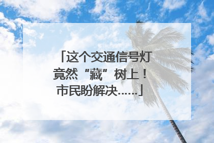 这个交通信号灯竟然“藏”树上！市民盼解决……