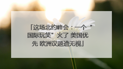 这场北约峰会：一个“国际玩笑”火了 美国优先 欧洲议题遭无视