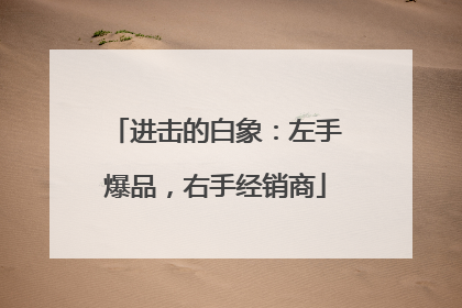 进击的白象：左手爆品，右手经销商