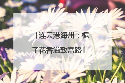 连云港海州：栀子花香溢致富路