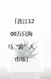 连江1200万只海马“游”入市场
