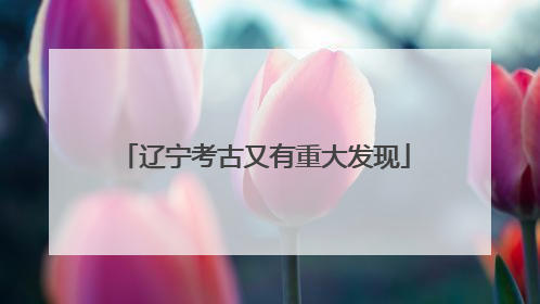 辽宁考古又有重大发现