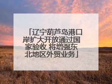 辽宁葫芦岛港口岸扩大开放通过国家验收 将增强东北地区外贸业务