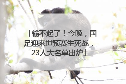 输不起了！今晚，国足迎来世预赛生死战，23人大名单出炉