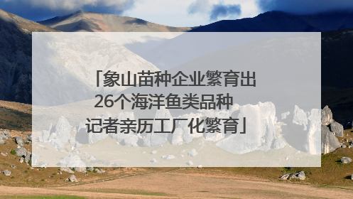 象山苗种企业繁育出26个海洋鱼类品种 记者亲历工厂化繁育