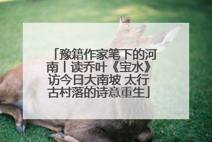 豫籍作家笔下的河南丨读乔叶《宝水》访今日大南坡 太行古村落的诗意重生