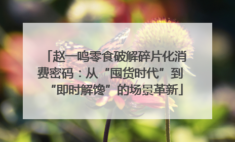 赵一鸣零食破解碎片化消费密码：从“囤货时代”到“即时解馋”的场景革新